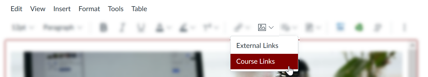 Screen to Select Course Links