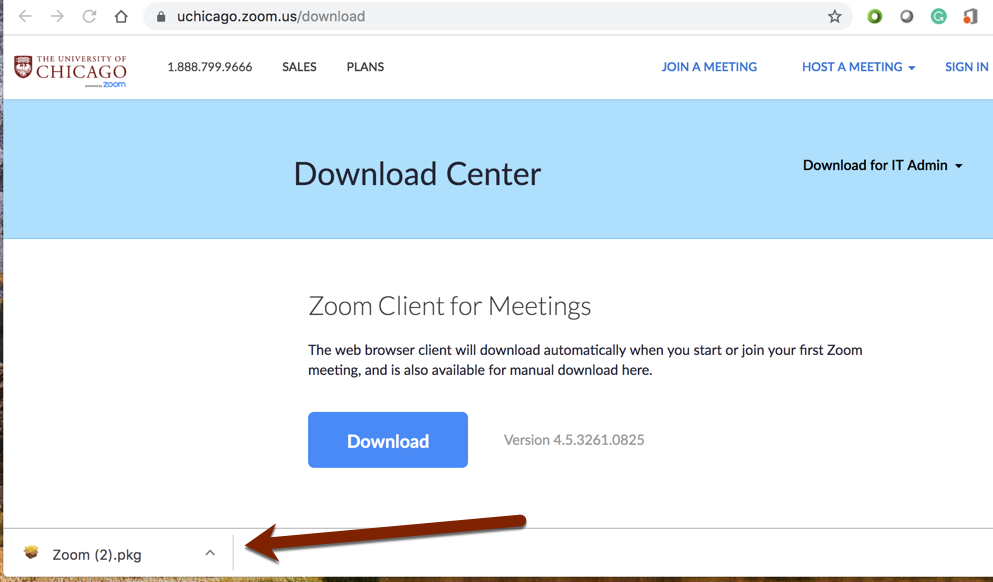 Arrow pointing to Zoom client 