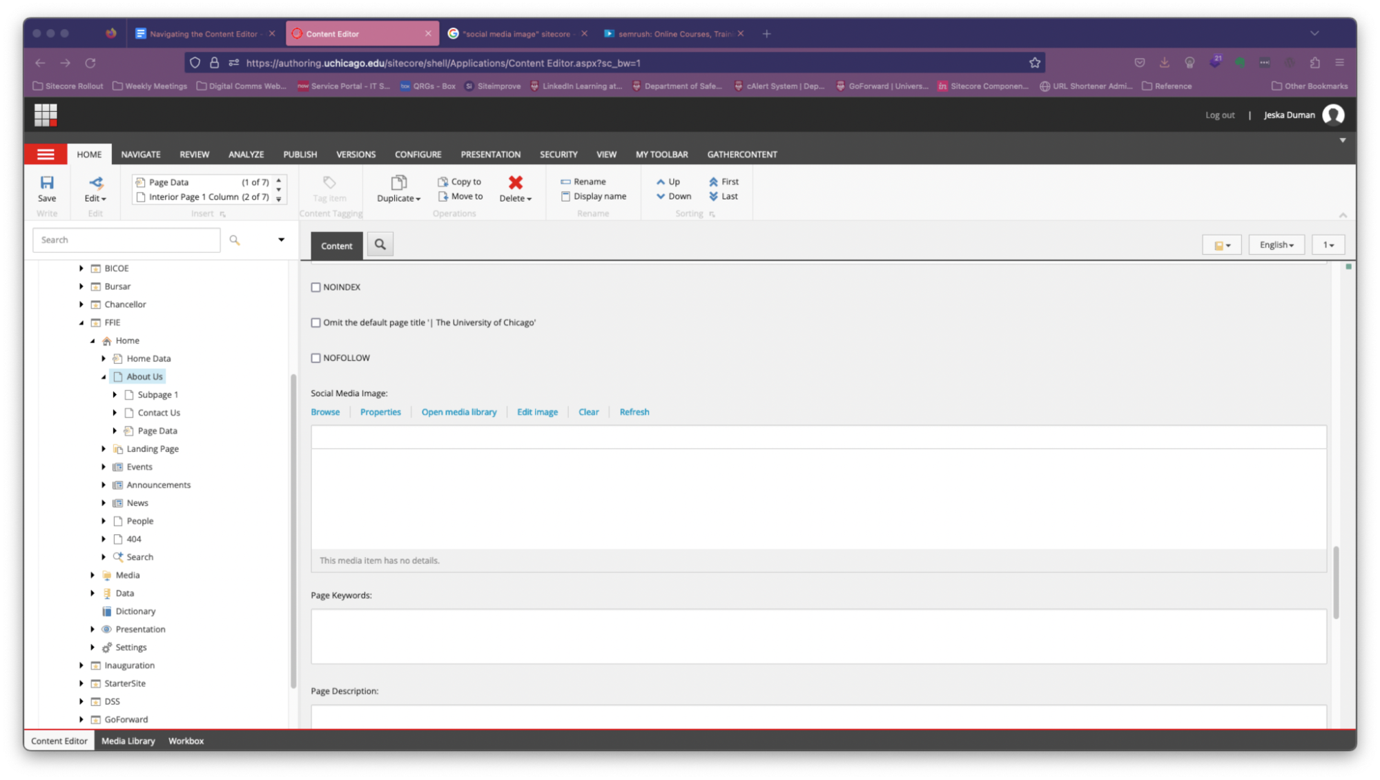 Sitecore Page Meta Properties fields