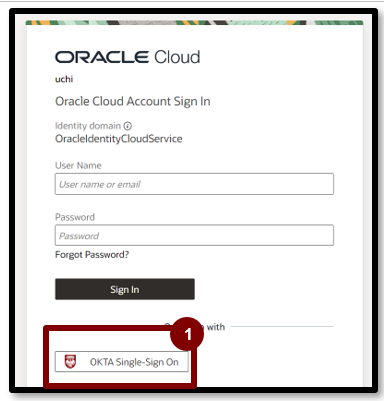 A screenshot of a login page

Description automatically generated