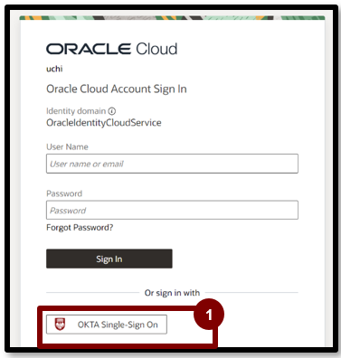 A screenshot of a login box

Description automatically generated